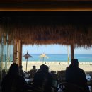 노매드(nomad) | 속초 카페 추천｜전 좌석 오션뷰에 분위기까지 완벽🌴 노메드 카페