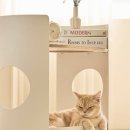 올데이펫 이미지