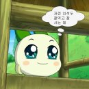 🏷️ 서초동 진미일식