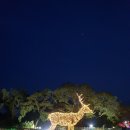 제주조각공원 이미지