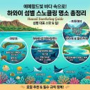 [하와이 필수 코스] 에메랄드빛 바다 속으로! 하와이 섬별 "스노클링 명소" 총정리 🤿🐢 이미지