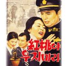 홍도야울지마라 이미지