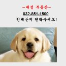이랜드월드아이파크몰 이미지