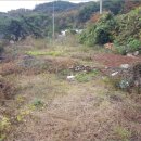 남해-271 이미지