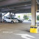 돈미담 왕소금구이 이미지