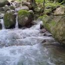 명화정
