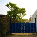 인제주코티지 이미지