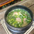 어울림마트 | 백운계곡맛집 포천바베큐장 어울림산장 셀프바베큐장 당일캠프닉 후기