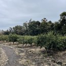 남원읍-90 이미지