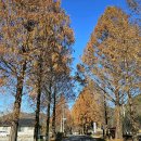 거석리 공중화장실 | 진안고원길 6구간 전주가는길 장승삼거리-메타세쿼이어길-모래재-주화산-부귀면사무소 여행기록