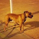 우리집 첫째 이미지