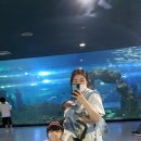 성산제일정형외과의원 이미지