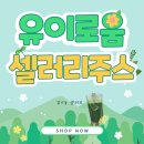[후기] 유이로움 셀러리주스