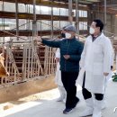 충무한우농장 이미지