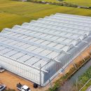 (주)우선팜 이미지