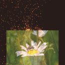 두신산업(주)