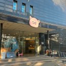 오후독 | 양양 멍비치 강아지여행 애견동반숙소 글램독 펜션 후기