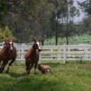 두근두근한의원 이미지
