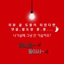 보성체육공원 다향체육관 | 2026년 가볼만한 전라도 경상도 축제정보 총정리