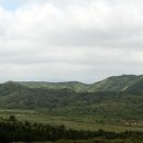 선흘리에 이미지