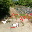 사리농장 이미지