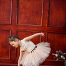 키즈발레 이미지