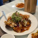 한스 강아지방 이미지