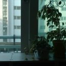 독립-16-05 이미지