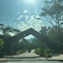 [여행일기] 안토 리조트 팀버스위트 후기: 100일 아기와 첫 여행