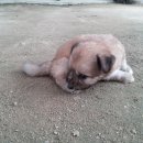 나경농장 이미지