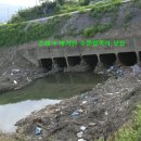 진교배수장 Daum카페