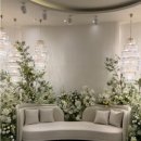 벡스코 | W. 부산 W웨딩 벡스코웨딩홀 26년 계약 후기