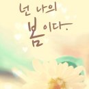 넌나의봄이다 이미지