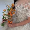 부산 블랑드윈느 드레스별 웨딩촬영 후기 ① - 엘라(원본, 수정본)