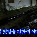 깜깜한 밤 밀양 텃밭에서 ~ 밀양시 상남면 ( 예림초등학교26회 최종대.) 이미지