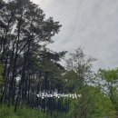 호매실천 | 3색(오목호수공원~수원시농업기술센터~수원여대~호매실천~칠보산학술림~칠보산여가녹지~까치화장실~왕송...