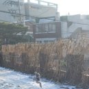 공항 가까운 전원주택 펫시터 이미지