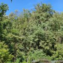 서울행림초등학교 이미지