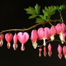 심무물욕 이미지