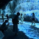 (주)디스트릭트코리아 이미지