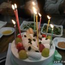 참솔 한우 이미지