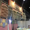 더 H 콘서트(재즈밴드 굿펠리스) | 2017.08 서베키(서울베이비키즈페어)양재at센터 방문기+태교콘서트