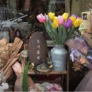 수경꽃집 이미지