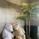 멜멜(Mell-Mell) 이미지