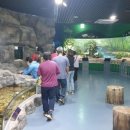 고성군정신건강복지센터 이미지