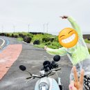 자담하우스 이미지