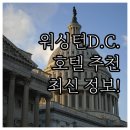 D.C프라자 | 워싱턴 D.C. 호텔 추천! 위치, 가격, 후기 비교 분석 (2025년 최신 정보)