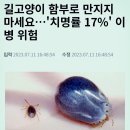 🦊야생 유해동물 길'고양이 인수공통 세균 질병'과 ⚠️악성감염병 공장' ⚠️기생충모음 창고"입니다. 이미지