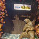 (주)아르티스