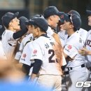 스타벅스 OSEN